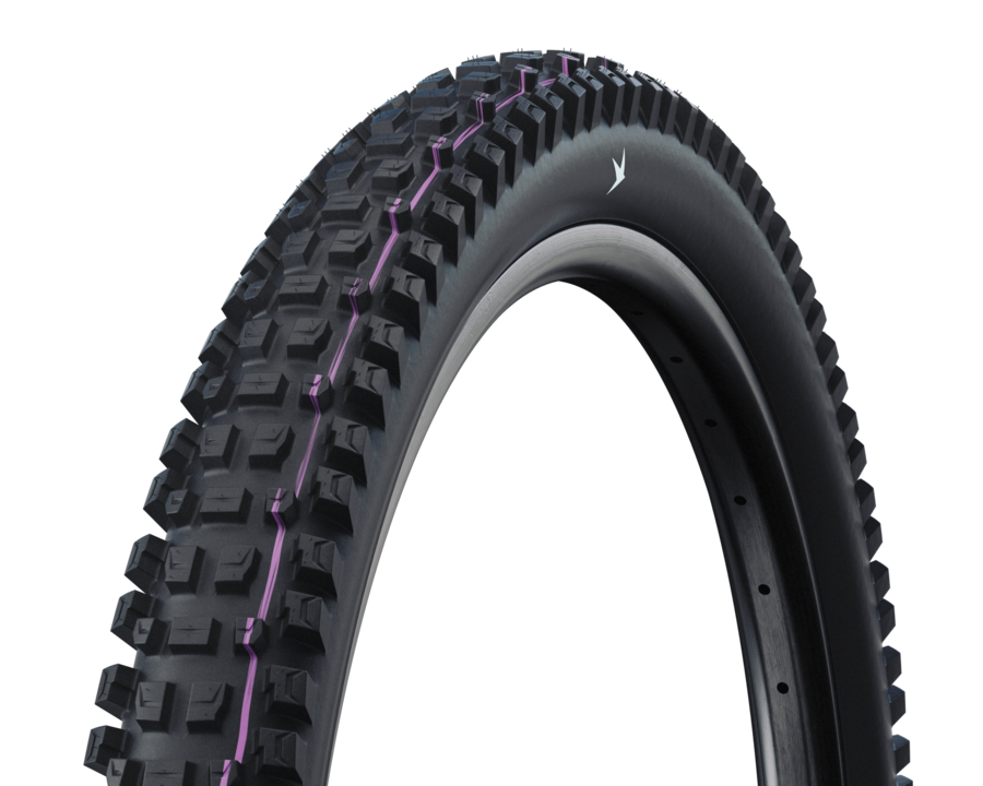 Schwalbe ALBERT GRAVITY PRO Evo Radial TLR  PRO USoft, 29x2.5